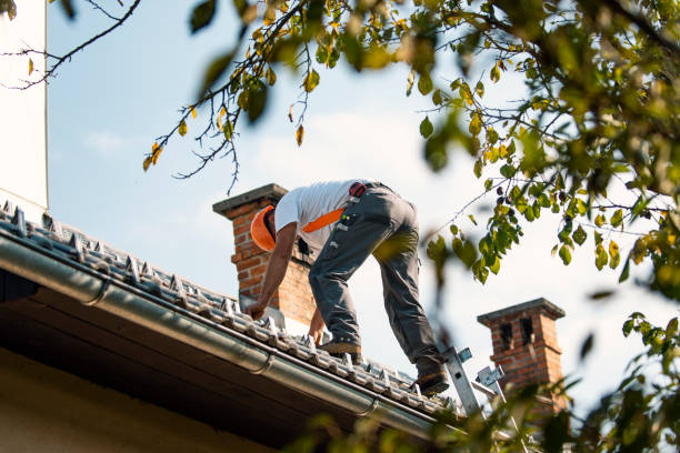 Roof Gutter Cleaning in Trevose, PA